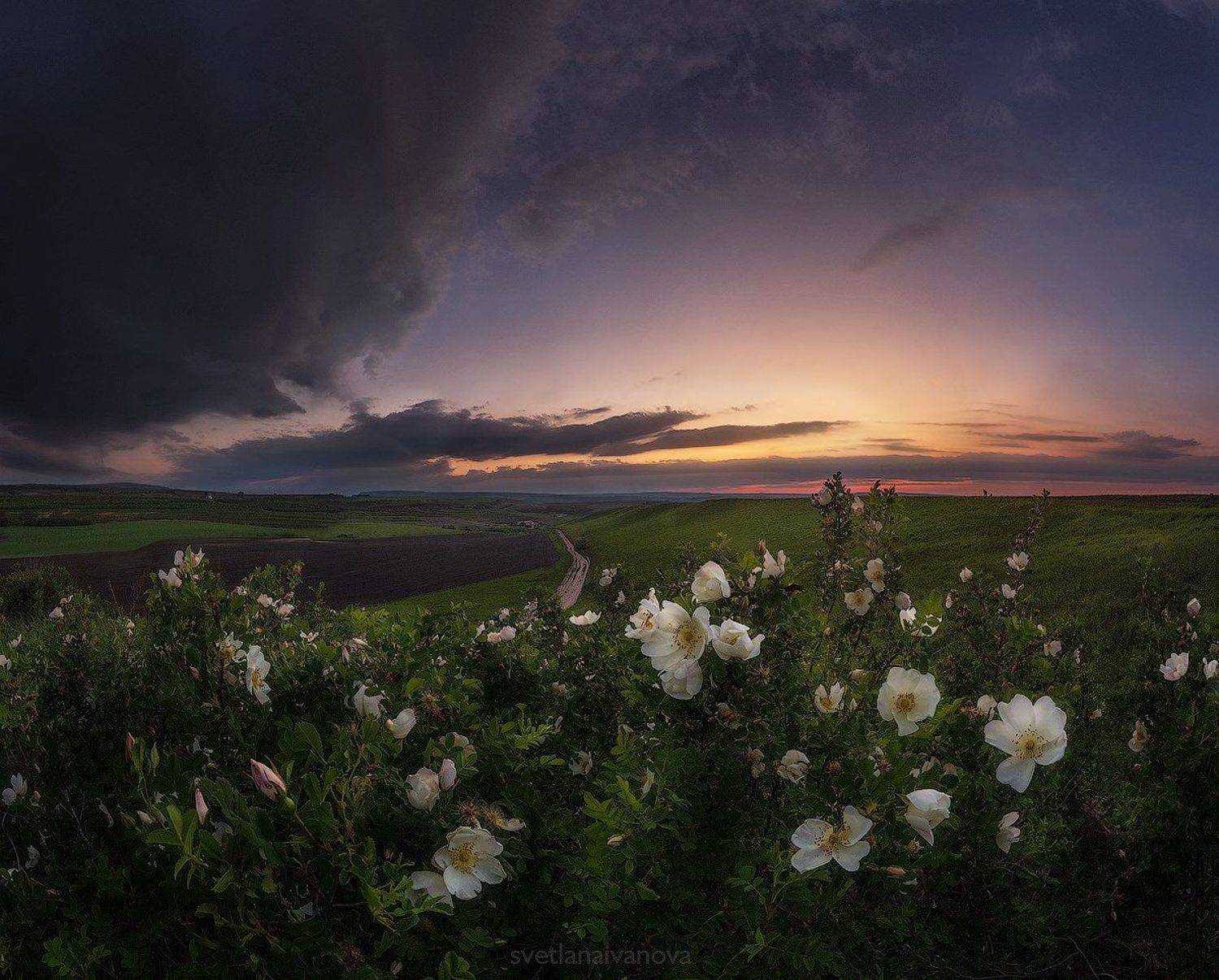 , Светлана Иванова