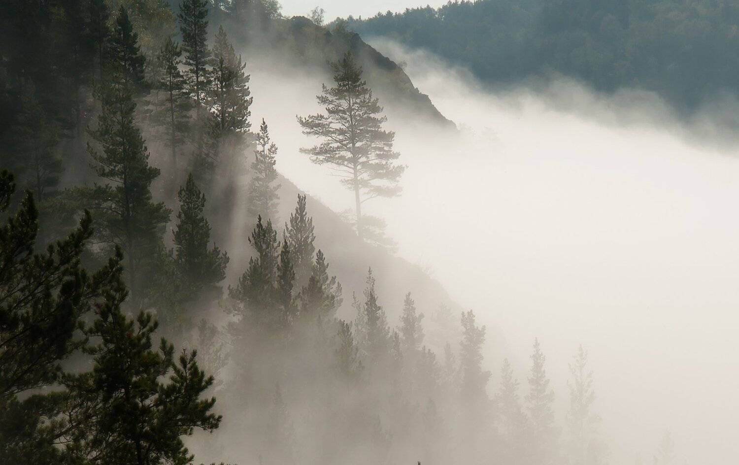 , Марина Фомина