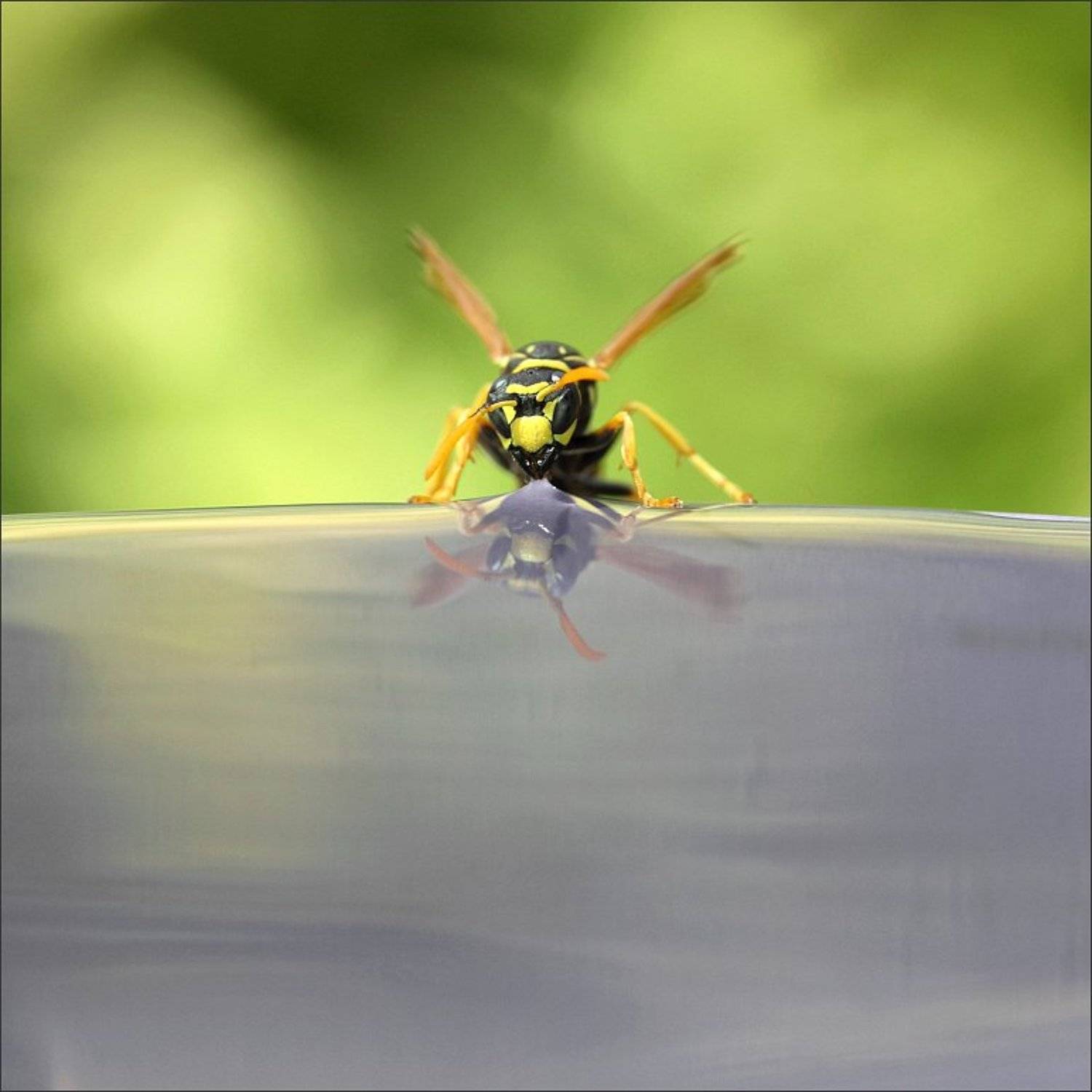 , Сергей Фудиненко