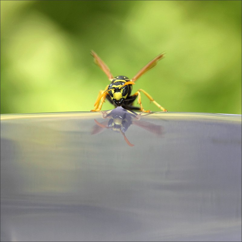 Выпить море фото превью