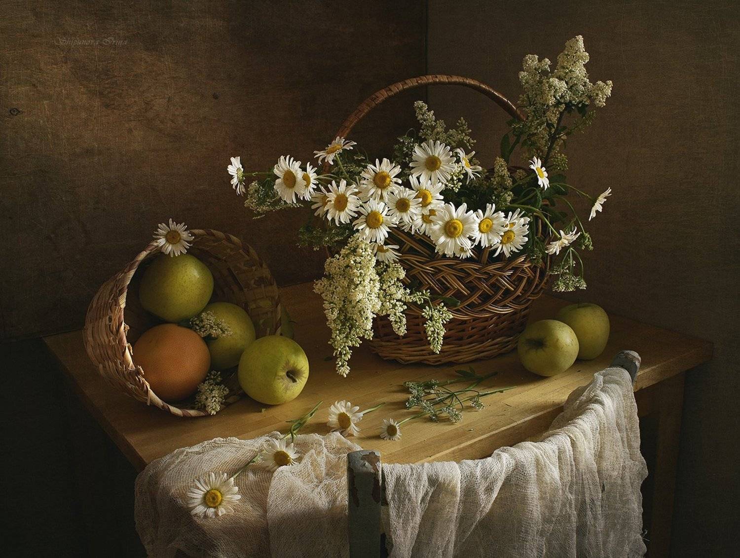 , Шипунова Ирина