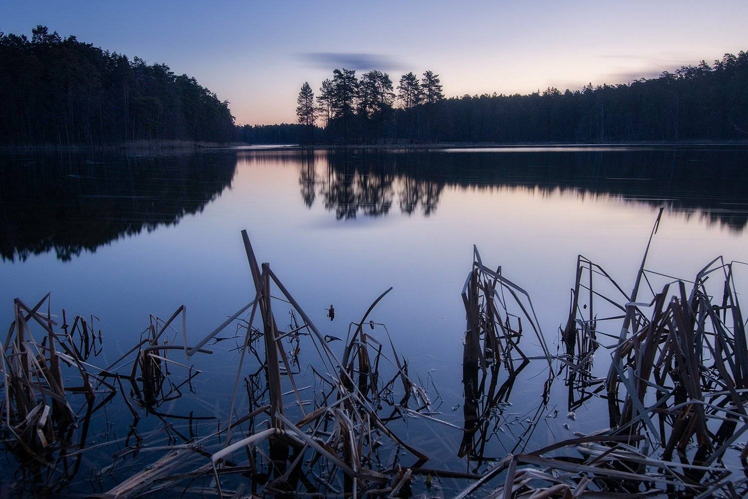 , Федотов Антон