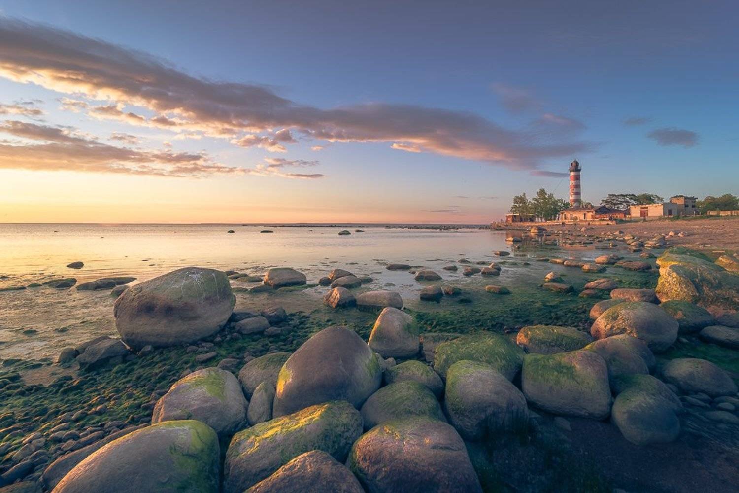 , Светлана Морозова