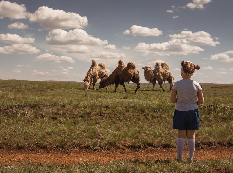 Алиса в новой стране чудес фото превью