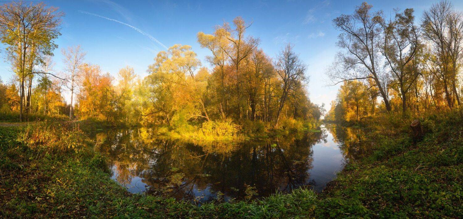 тула, тулица, баташевский сад, баташи, Сергей Кочергин