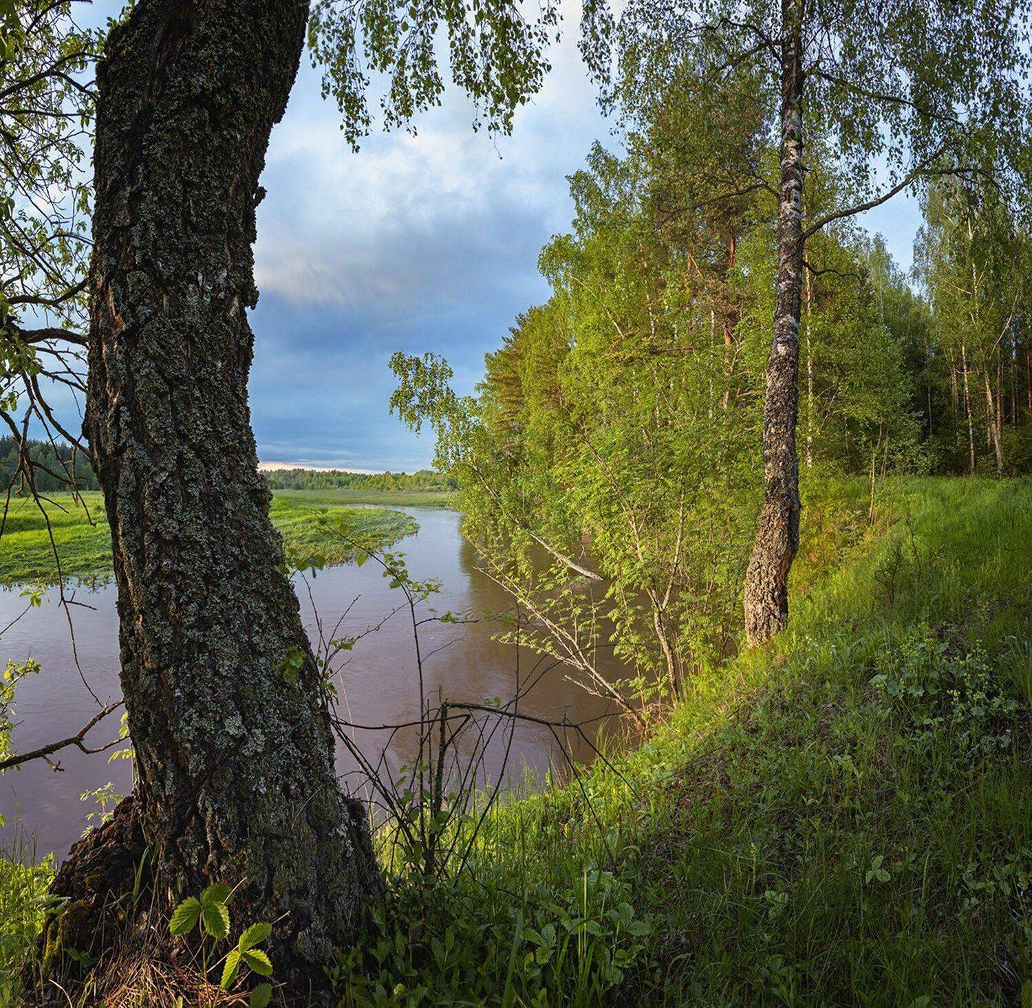 , Николай Андреев