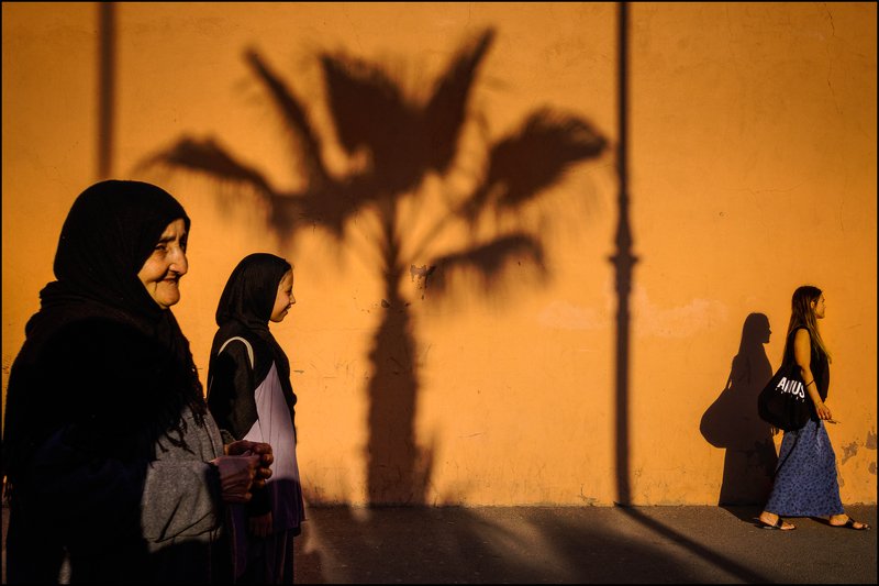 yancho sabev, street, morocco, marrakech, outdoor, palm tree, color ~ Two Worlds, One Palm Tree ~ фото превью