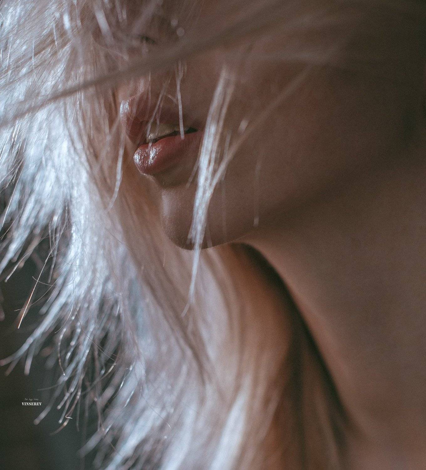 , Винников Сергей