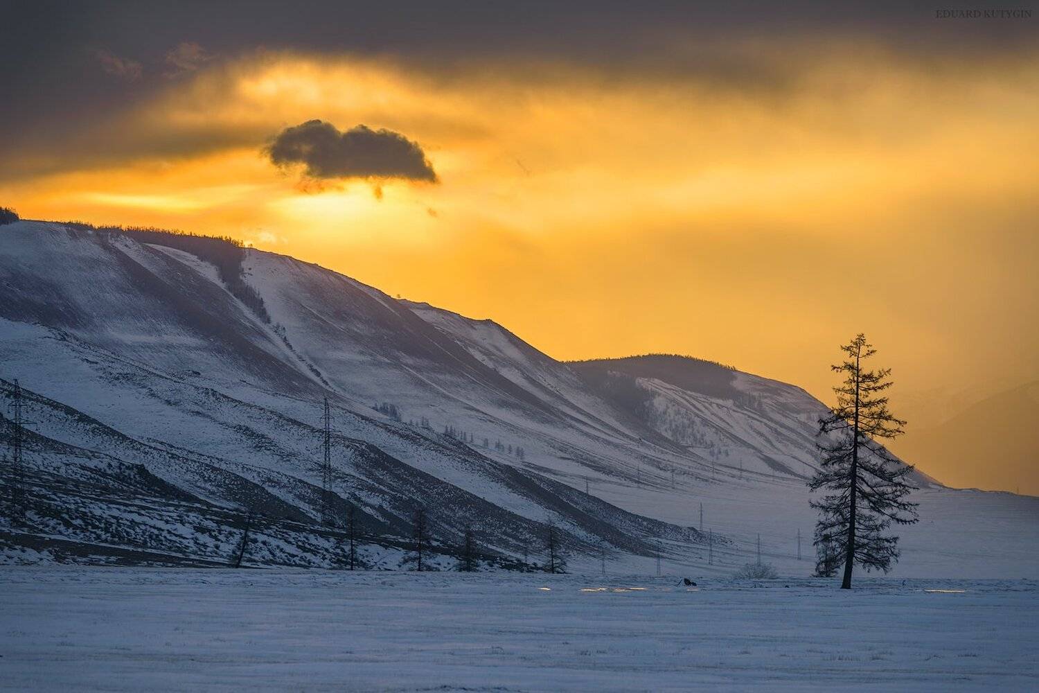 курайская алтай, Кутыгин Эдуард