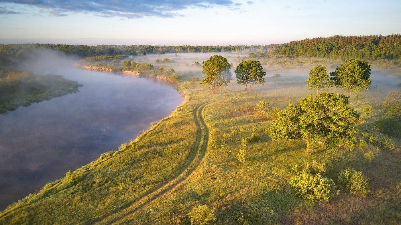 беларусь, березина, июнь, лето, рассвет, река, туман, утро, Вейзе Максим