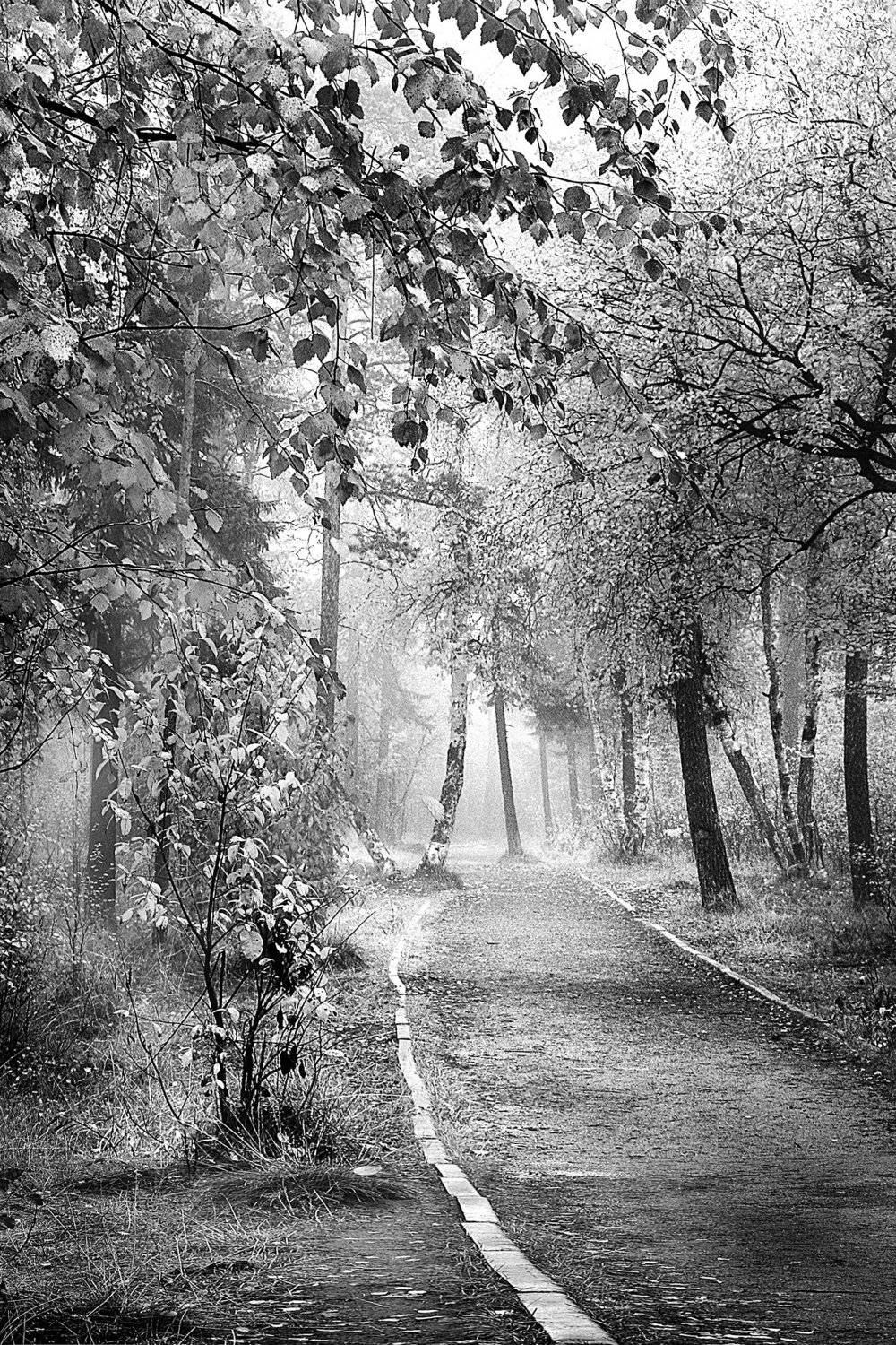 , Александр Иванович