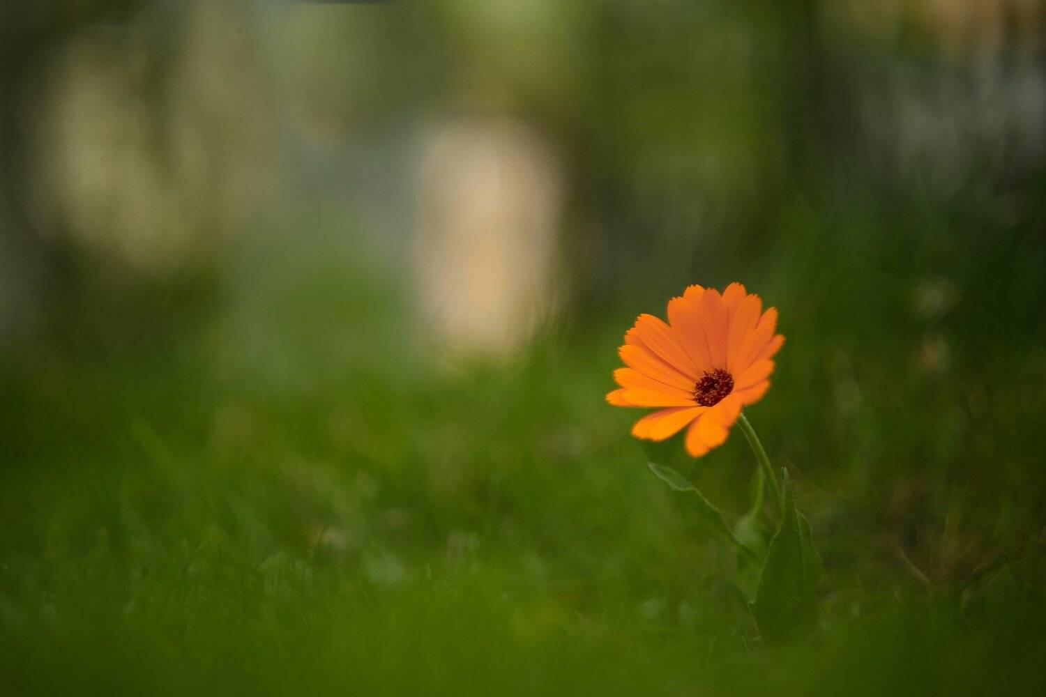 , Эдуард Колобошников