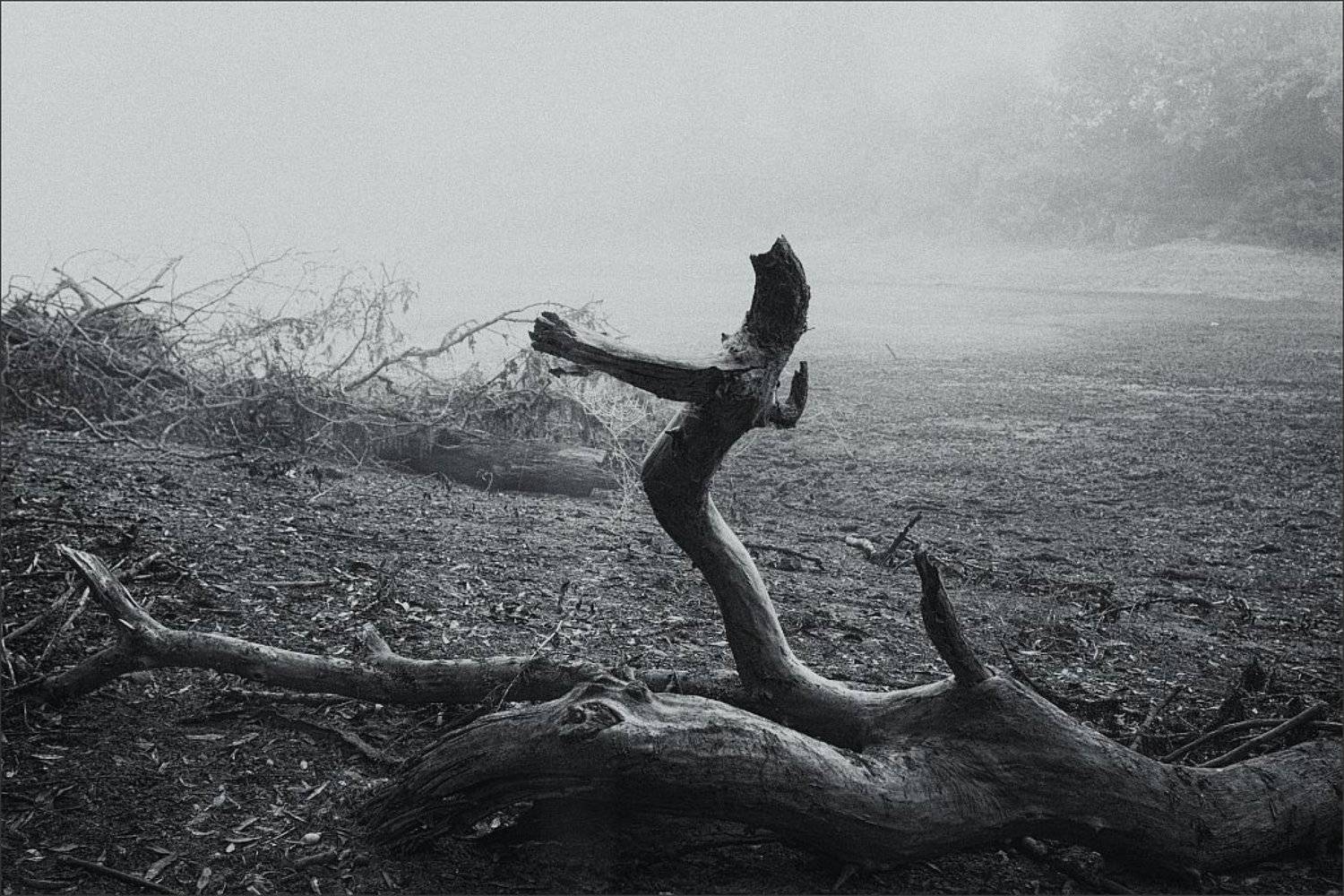 , Сергей Фудиненко