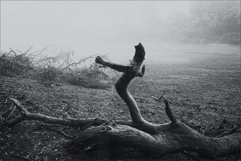 Ария фото превью