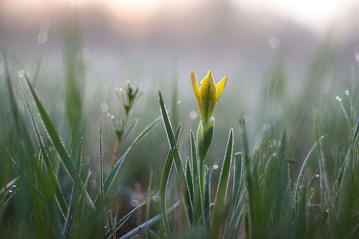, Сергей Брагин