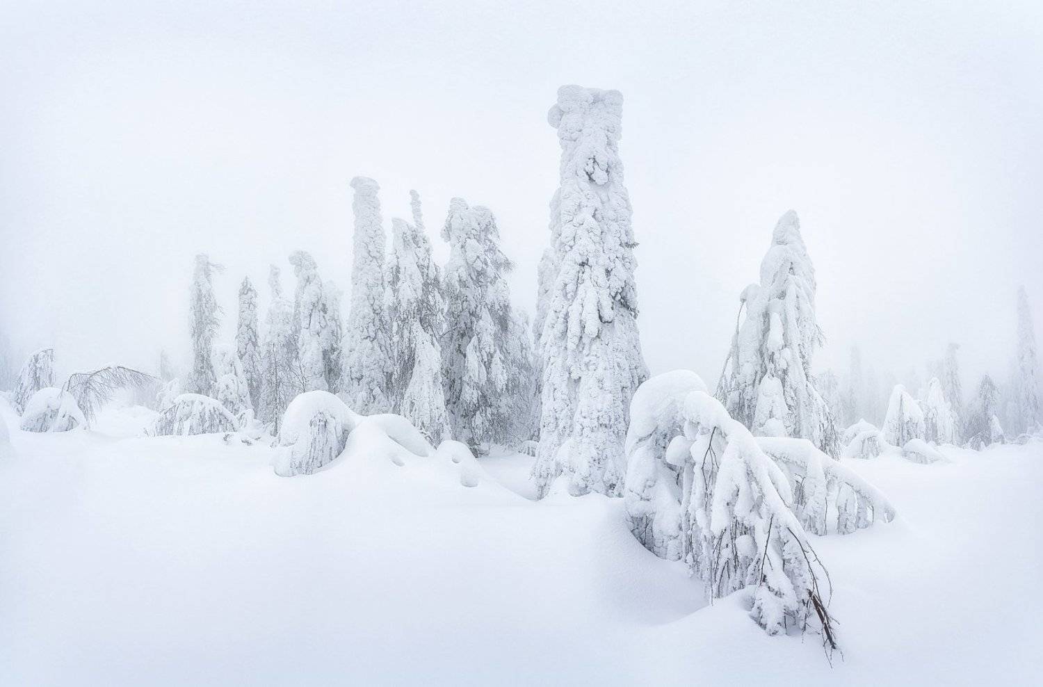 пермский край, снег, зима, туман, Устюжанин Михаил