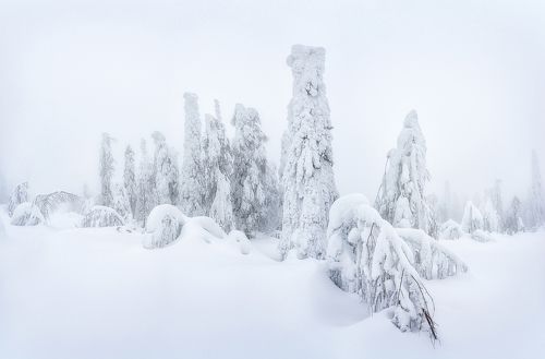 В снежном плену.