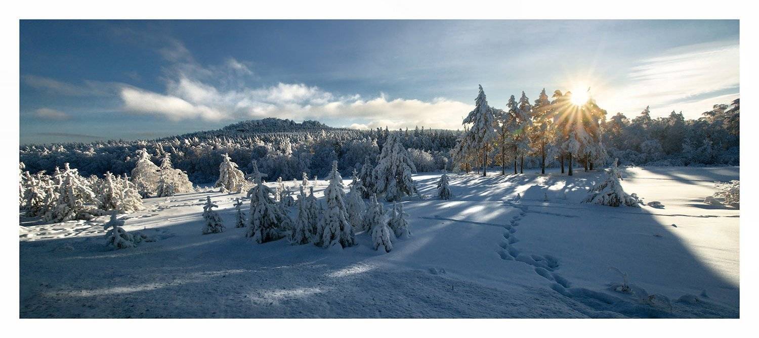 , Владимир Ляпин