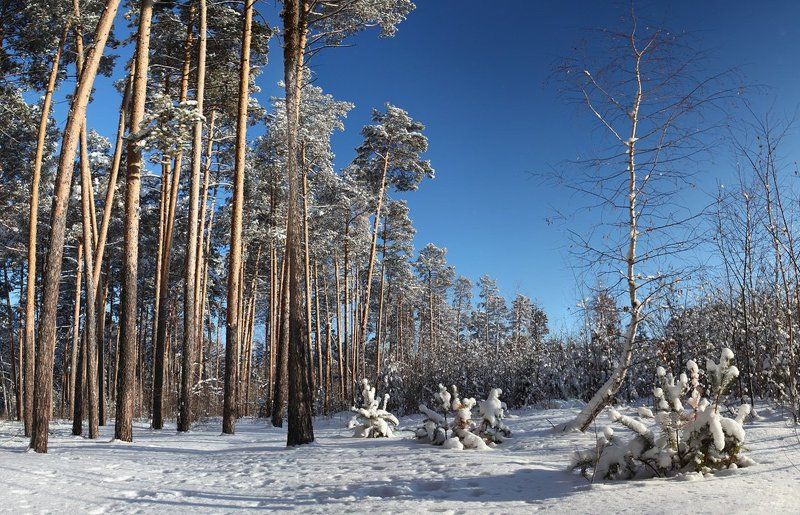 --- фото превью