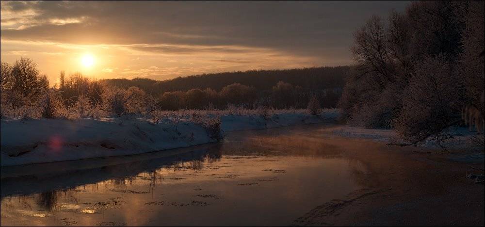 , Полищук И.В.