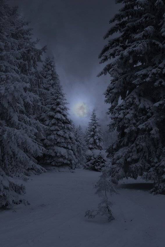 , Михаил  Пилипенко