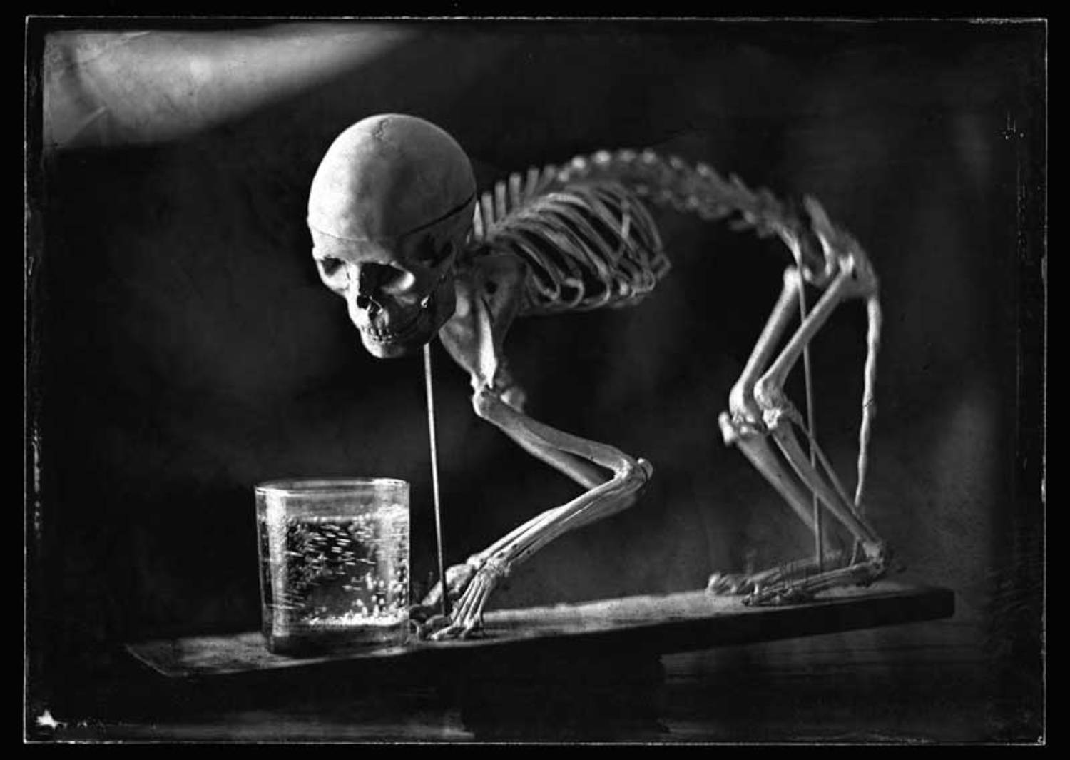 wet, plate, collodion, ambrotype, Sergey Potapov