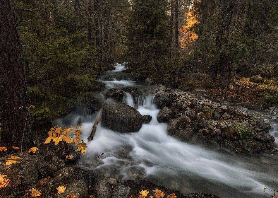 , Красимир Матаров