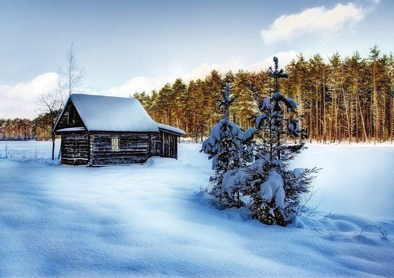 У леса на опушке... фото превью