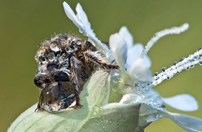 Хорошо посидели фото превью
