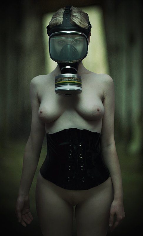 255 фото превью