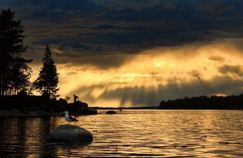 Закатная гармония