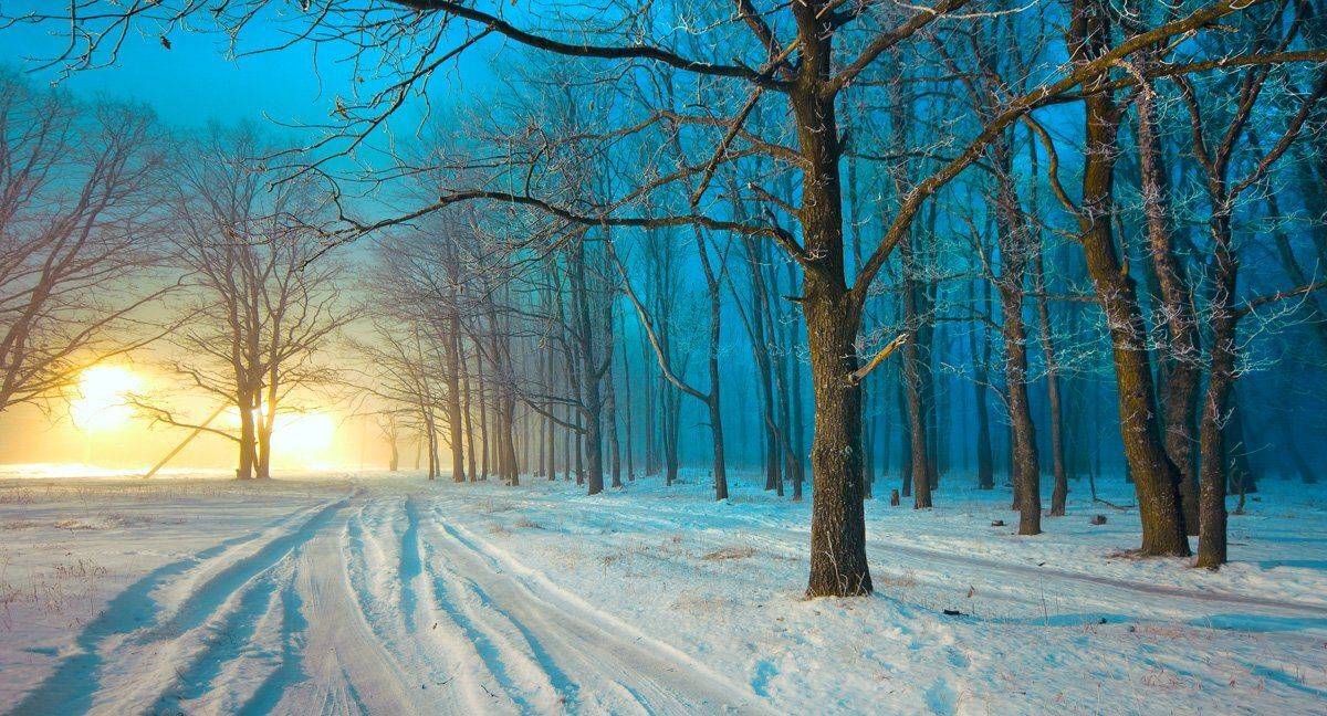 , Сергей Зимин