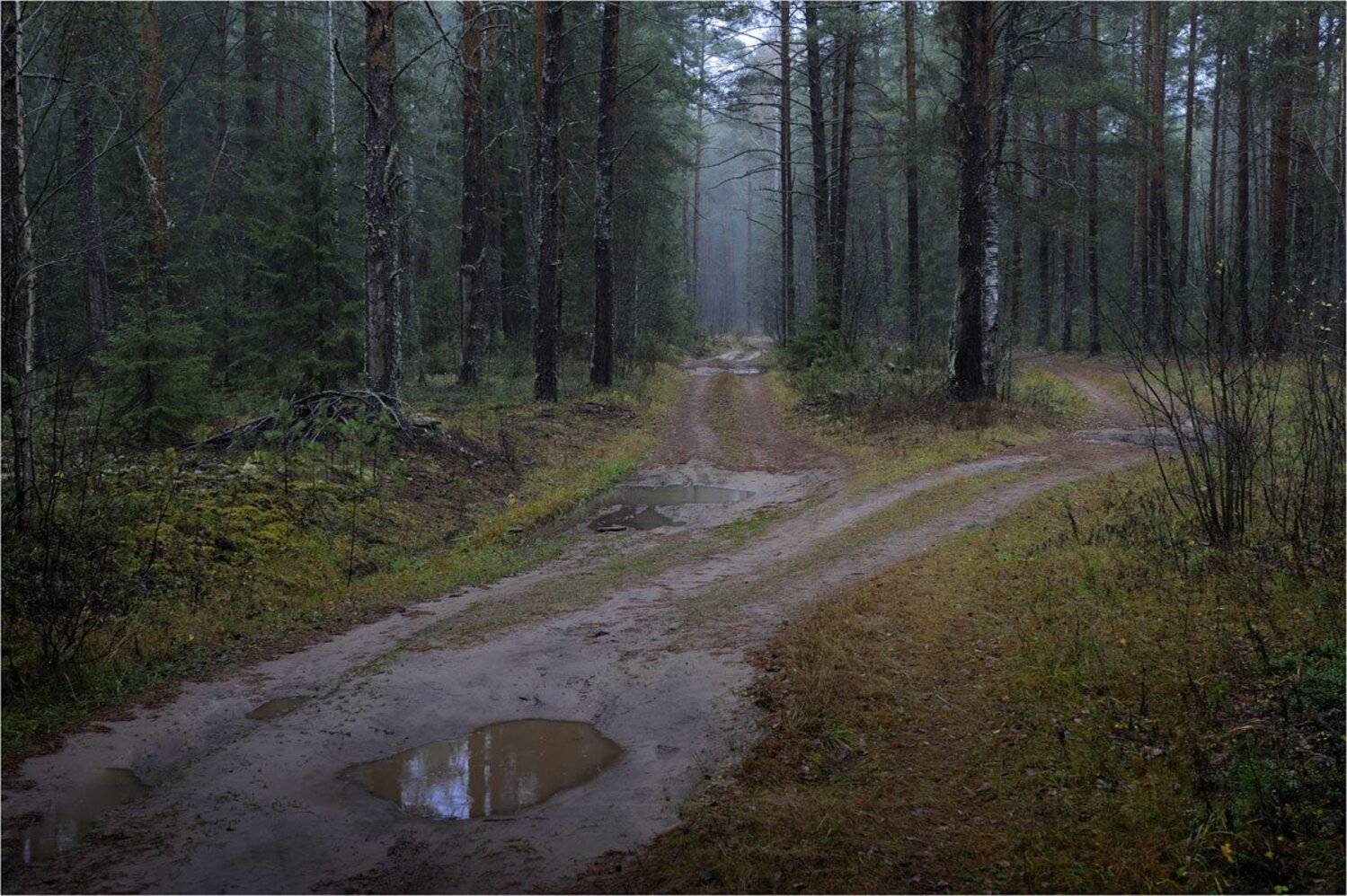 , Анатолий Гулин