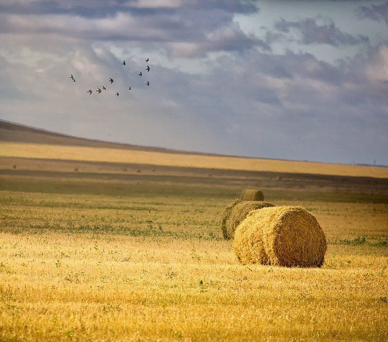 осень,сено,солома,поле Стожок фото превью