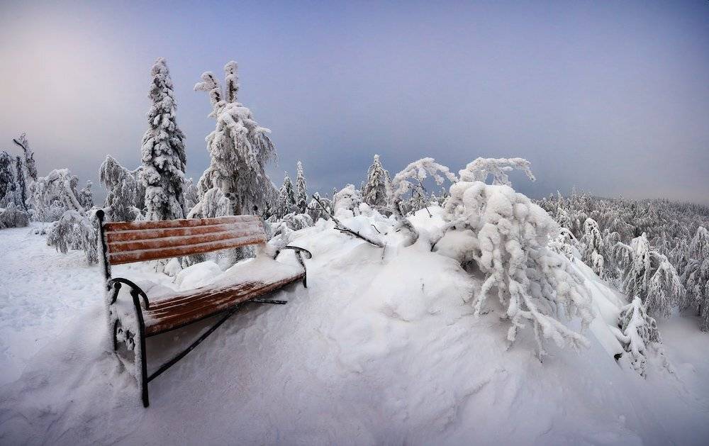 , Михаил Трахтенберг