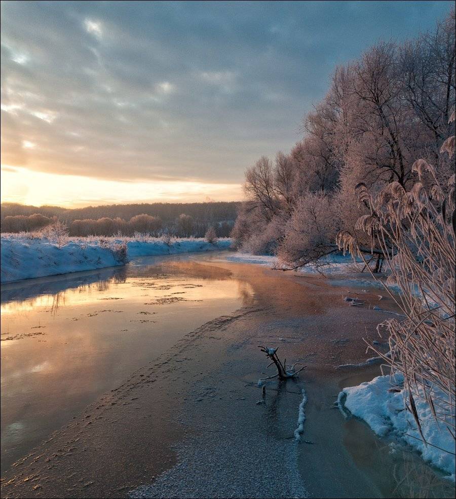 , Полищук И.В.