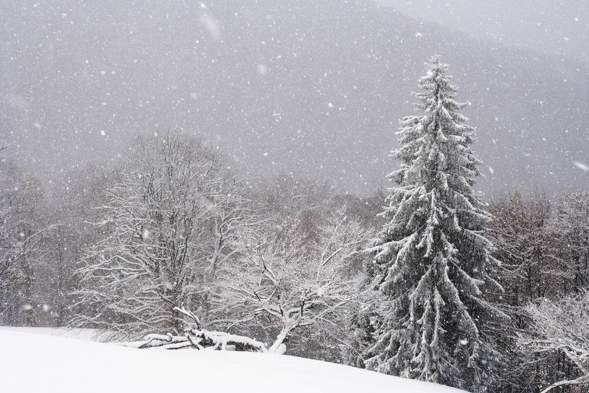 , Виталий Ра