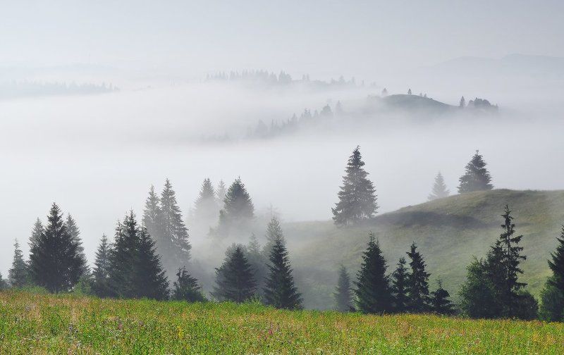 ... фото превью
