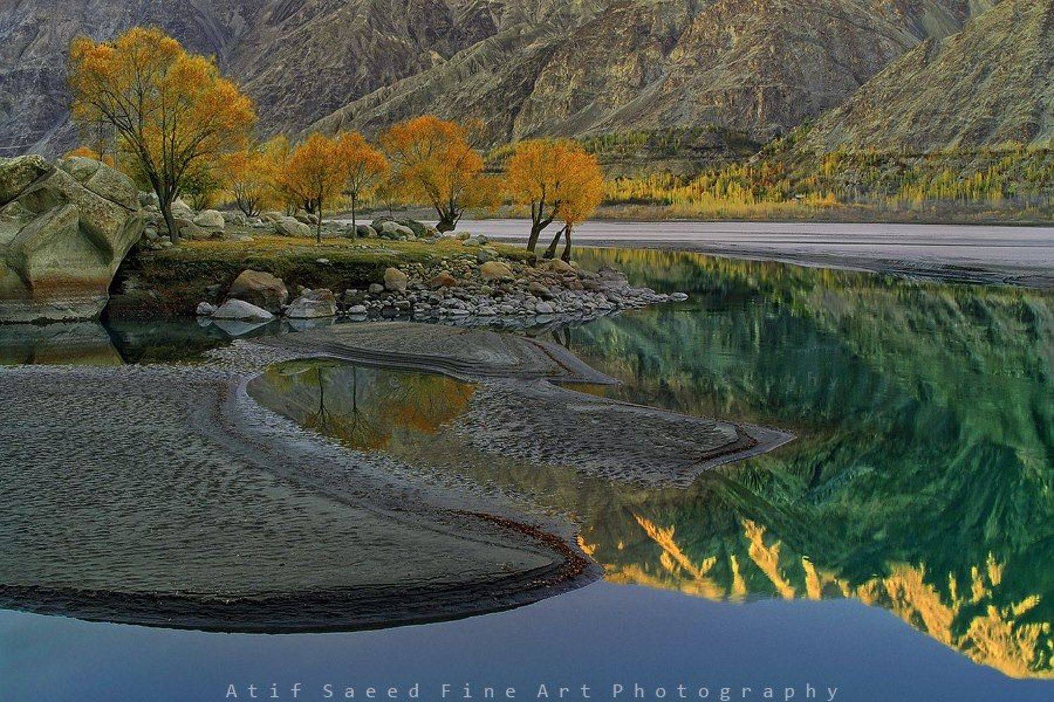, M Atif Saeed