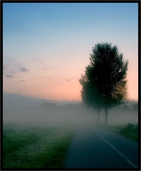 , Waldemar Wienchol