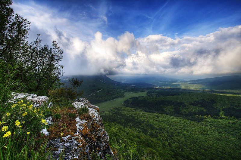 light фото превью