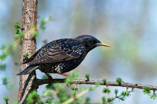 На корточках