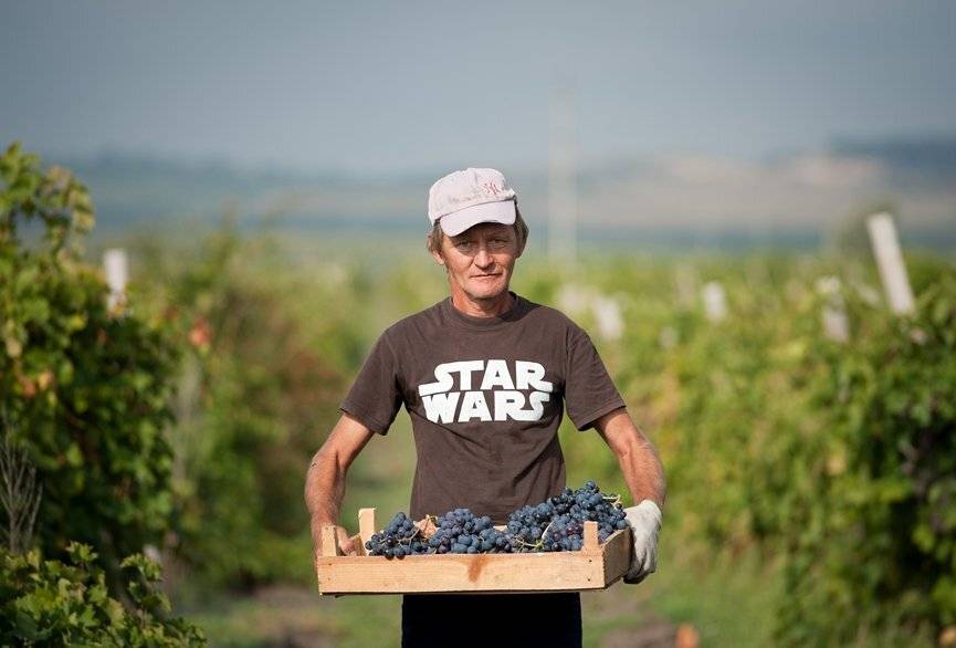 , Гвановский Владимир