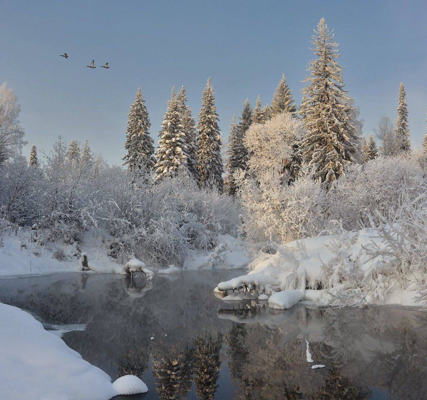 , Олег Пожарков
