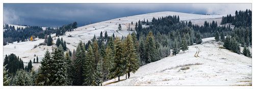 ПЕРВОЕ УТРО ПЕРВОГО СНЕГА. ЧАСТЬ 3.