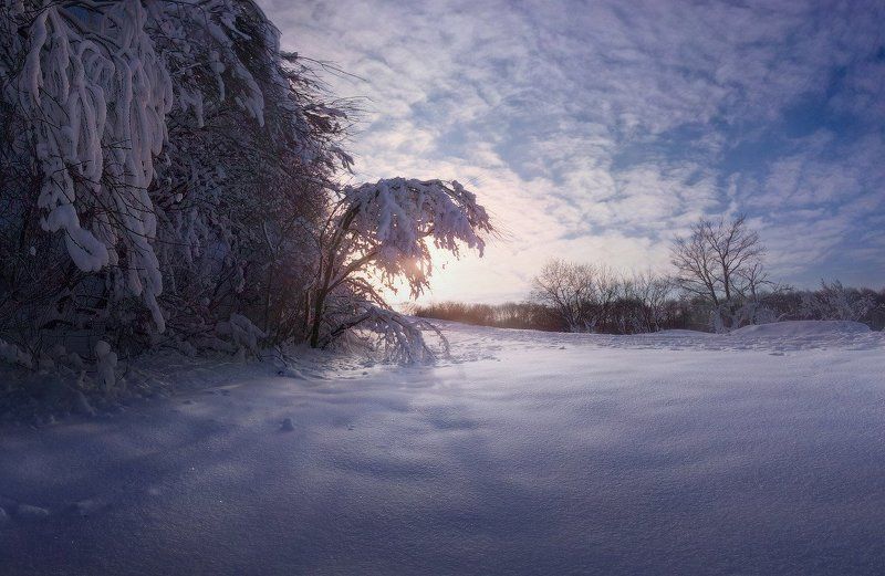 Один зимний день фото превью