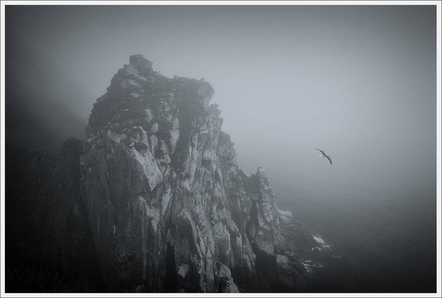 , Сергей Захаров.