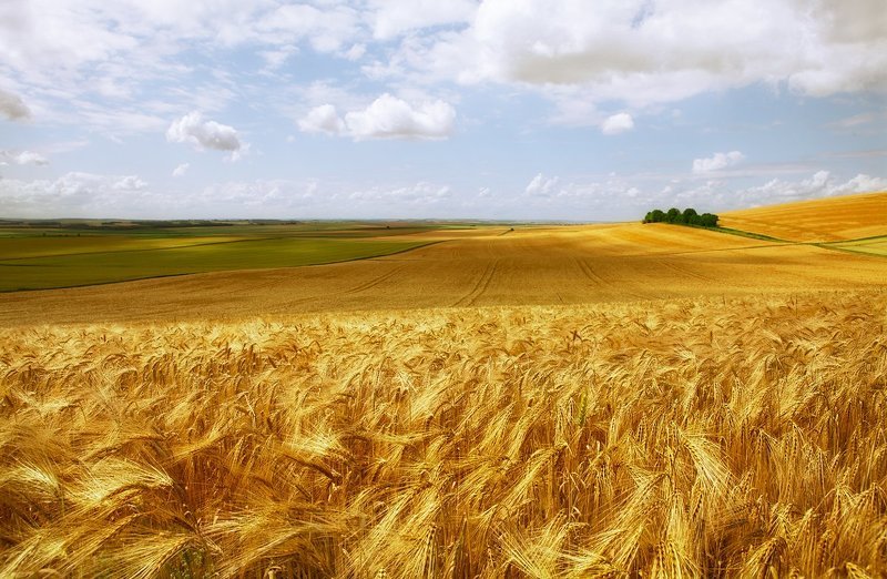 Поле фото превью