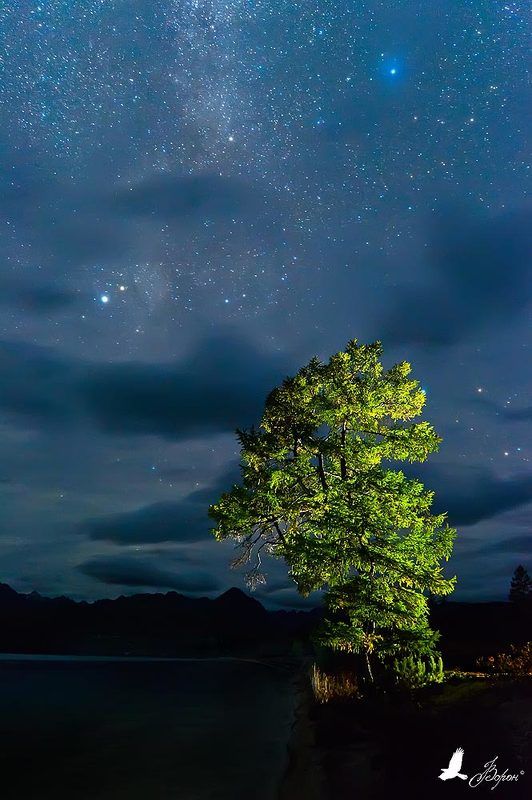 Неспящие в тиши фото превью