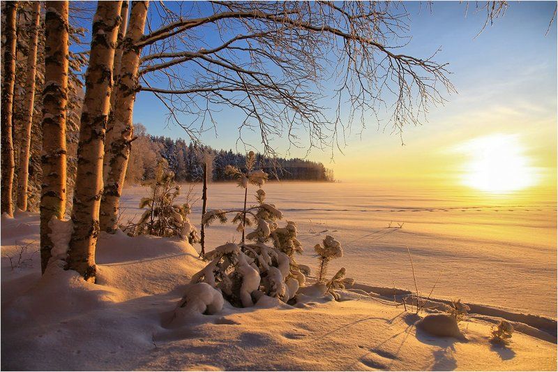 Зимним днем ... фото превью